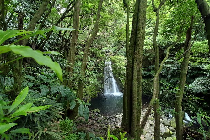 Hiking Tour Sanguinho Salto Do Prego Waterfall and Furnas - Review Highlights