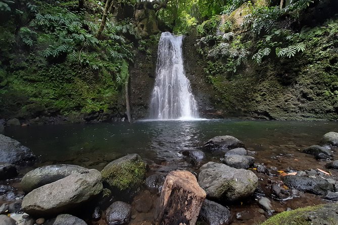 Hiking Tour Sanguinho Salto Do Prego Waterfall and Furnas - Discover Sao Miguel Island