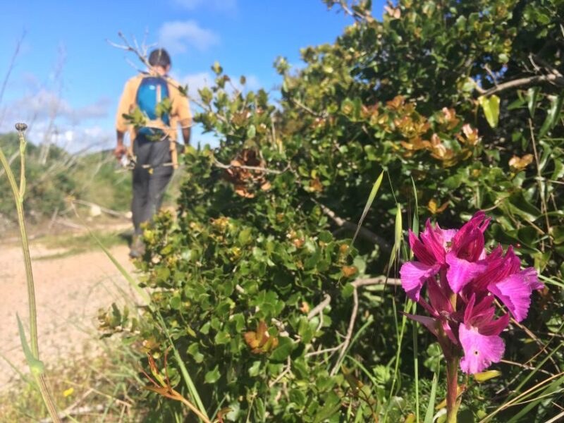 Hiking Tour to Highest Limestone Cliff in Europe - Key Points