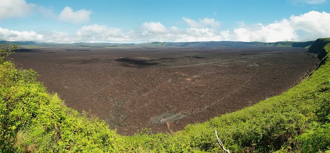 Hiking Tour to Sierra Negra Volcano - Key Points