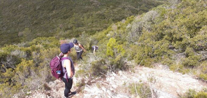 Hiking Tour to the Highest Point of Arrábida Mountain - Inclusions and Amenities