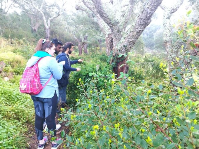 Hiking Tour to the Highest Point of Arrábida Mountain - Customer Reviews and Feedback