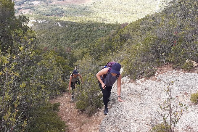 Hiking Tour to the Highest Point of Arrábida Mountain - Reviews and Ratings