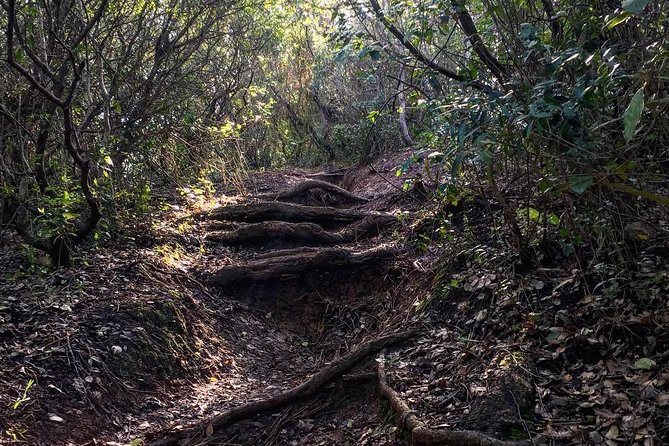 Hiking Tour to the Highest Point of Arrábida Mountain - Arrábida Natural Park