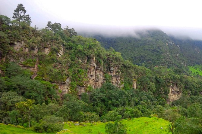 Hiking Tour to the Tallest Waterfall in Colombia - Reviews and Feedback