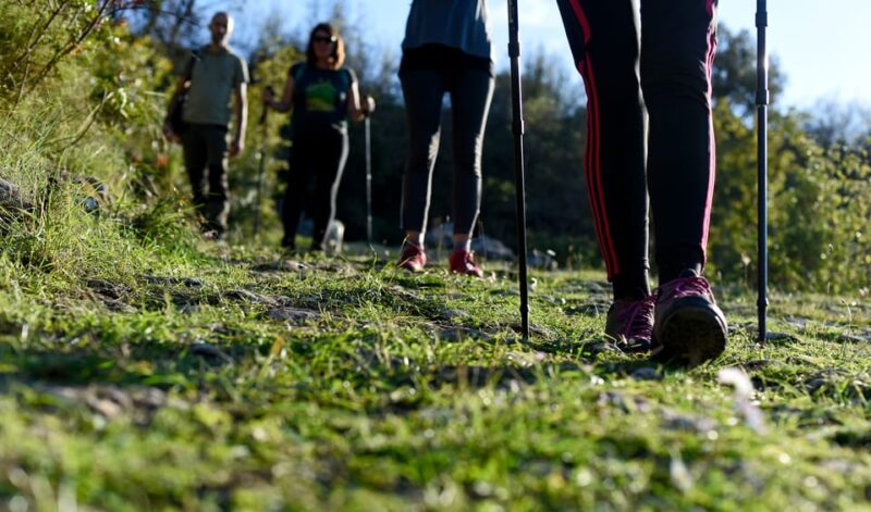 Hiking Tour Vidova Gora and Visiting Museum of Olive Oil - Booking and Cancellation