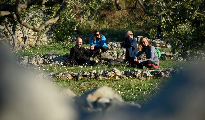 Hiking Tour Vidova Gora and Visiting Museum of Olive Oil - Preparation and Safety