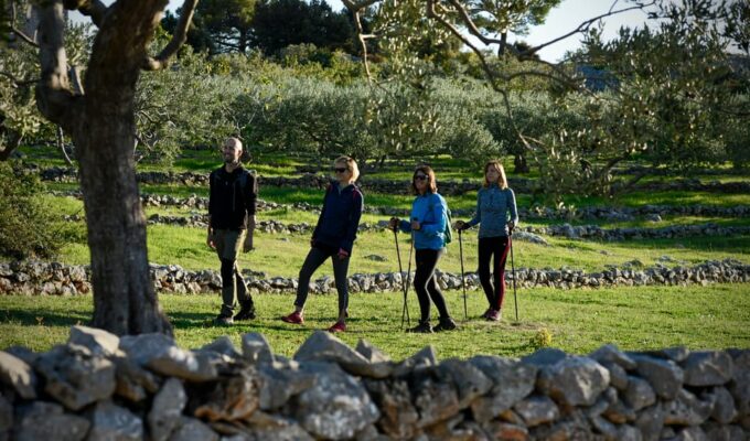 Hiking Tour Vidova Gora and Visiting Museum of Olive Oil - Visiting Museum of Olive Oil