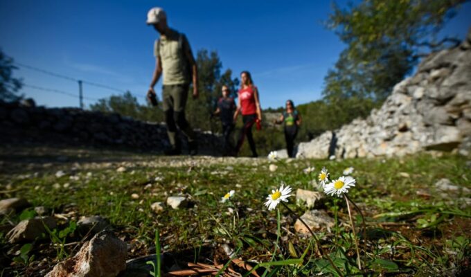 Hiking Tour Vidova Gora and Visiting Museum of Olive Oil - Frequently Asked Questions
