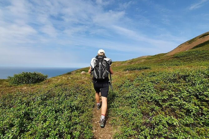 Hiking Tours in Troll Peninsula - Cancellation and Reviews