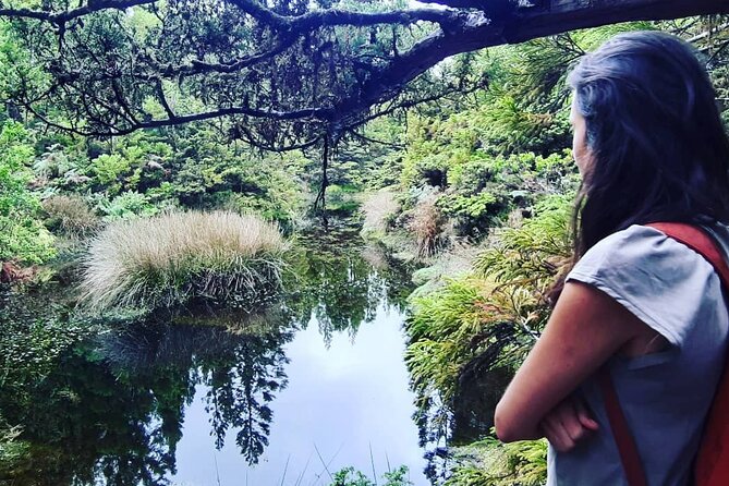 Hiking Trail Black Mysteries | Terceira Island - Mistérios Negros Trail Overview
