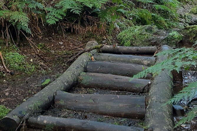 Hiking Trail Black Mysteries | Terceira Island - Experienced and Knowledgeable Guides