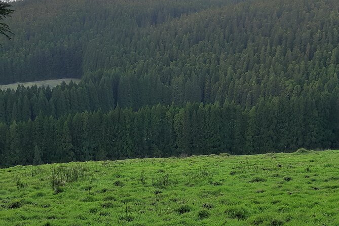 Hiking Trail Black Mysteries | Terceira Island - Positive Traveler Feedback