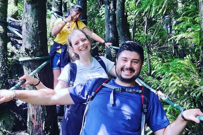 Hiking Trail Rocha Do Chambre | Terceira Island - Trail Features and Difficulty