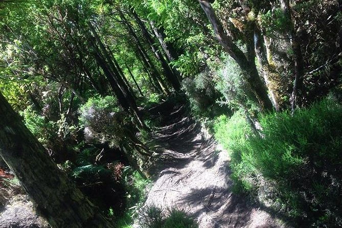 Hiking Trail Rocha Do Chambre | Terceira Island - Group Size and Fitness Level