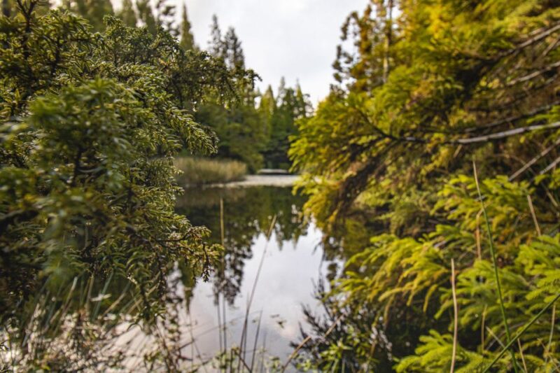 Hiking Trails - Pricing and Booking