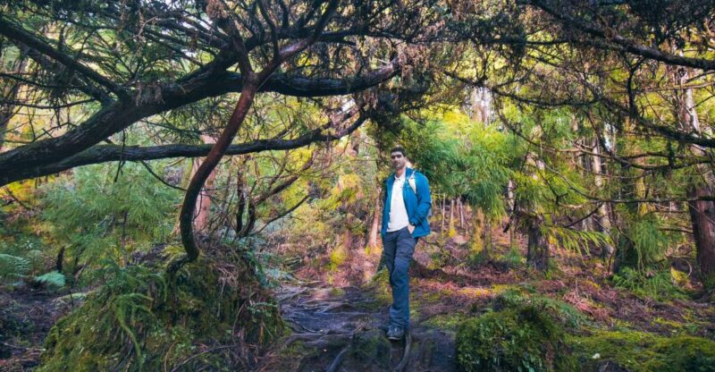 Hiking Trails - Tour Inclusions