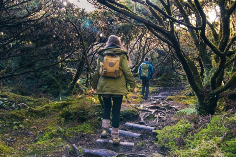 Hiking Trails - Learn About the Region