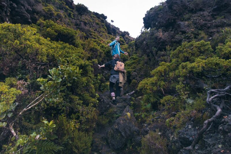 Hiking Trails - Admire the Biodiversity