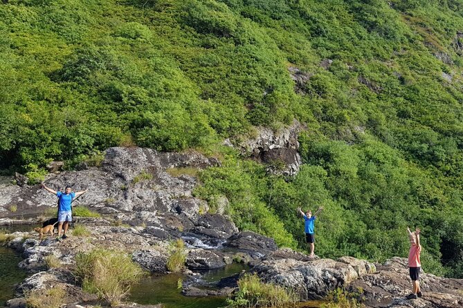 Hiking Trip Full-Day: the Magnificent 7 Waterfalls Sept Cascades Including Lunch - Customer Reviews and Ratings