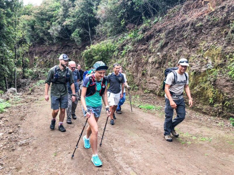 Hiking Trip With a Local - Experience Details