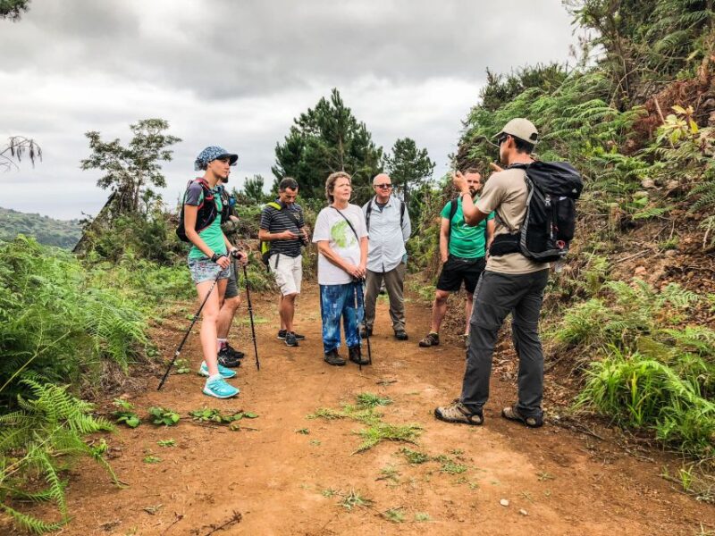 Hiking Trip With a Local - Participant Information and Recommendations
