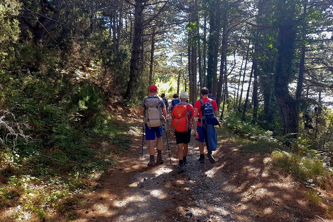 Hiking Vrmac Peninsula With Panoramic View on Kotor Bay - Convenient Transportation and Logistics