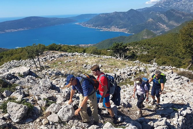 Hiking Vrmac Peninsula With Panoramic View on Kotor Bay - Inclusions and Activity Details