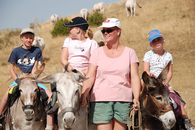 Hiking With Donkeys - Meeting the Friendly Donkeys