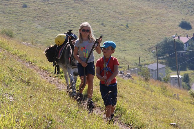 Hiking With Donkeys - Navigating the Mulattiera Trail