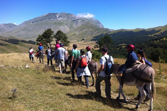 Hiking With Donkeys - Embracing the Pace of Donkeys