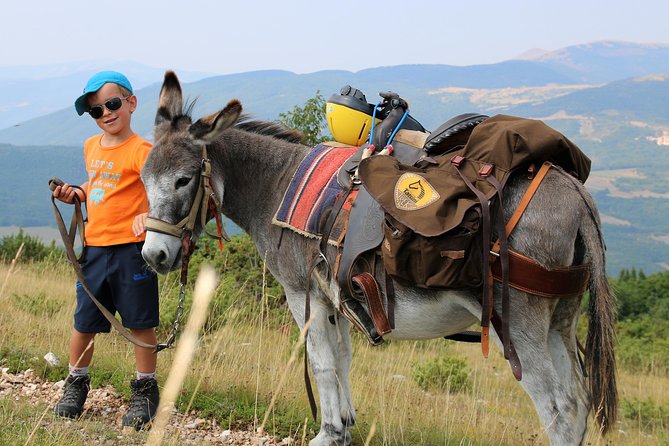 Hiking With Donkeys - Capturing Memorable Moments