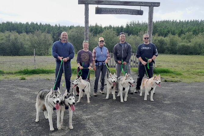 Hiking With Husky in Akureyri - Meeting the Friendly Huskies