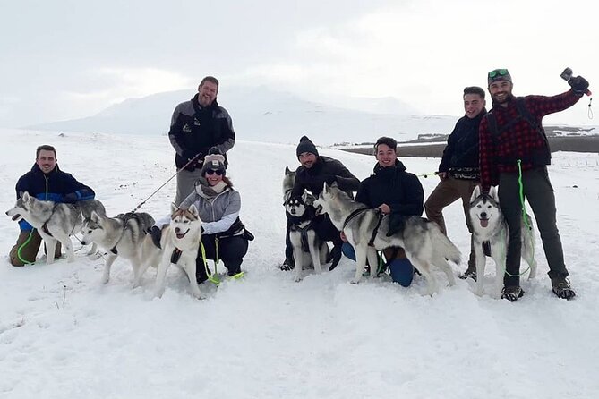 Hiking With Husky in Akureyri - Learning From Knowledgeable Hosts