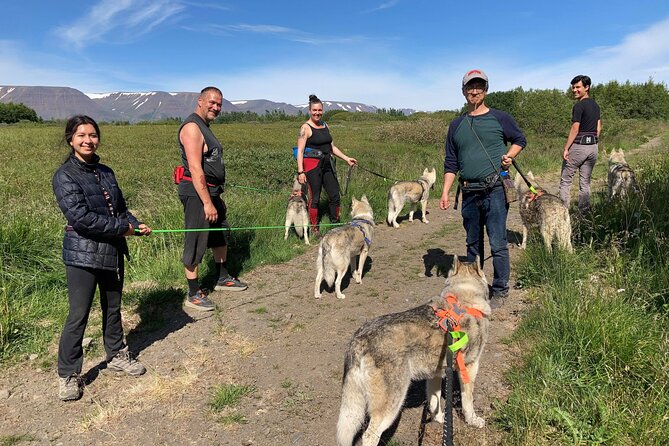 Hiking With Husky in Akureyri - Recap