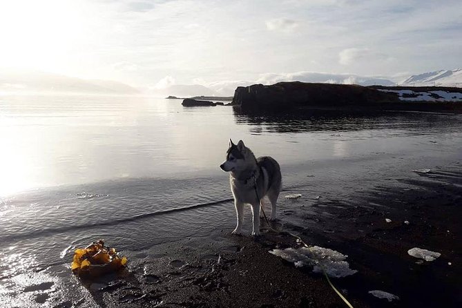 Hiking With Husky in Akureyri (Private) - Inclusions in the Package