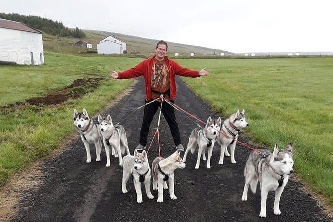 Hiking With Husky in Akureyri (Private) - Private Tour Experience