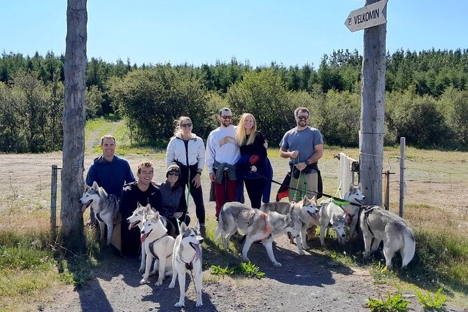 Hiking With Husky in Akureyri (Private) - Petting Time With Huskies