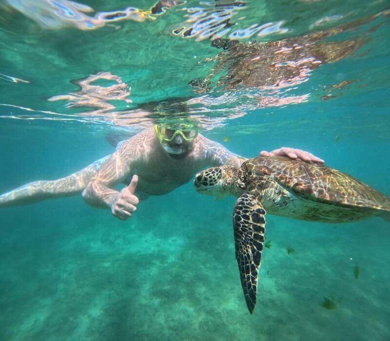 Hikkaduwa: Amazing Snorkeling with Coral, Fish & Turtles - An Introduction to the Snorkeling Tour