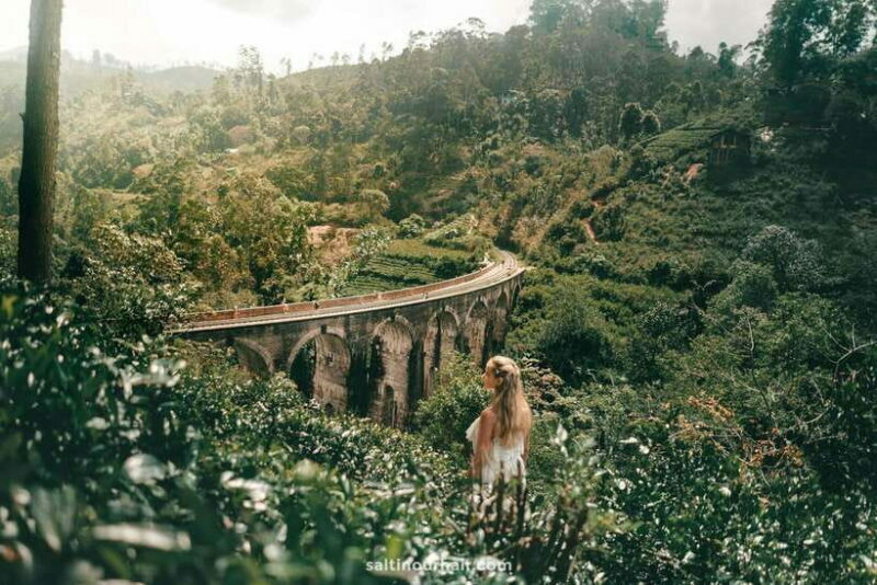 Hikkaduwa/Galle/Weligama/Mirissa: Day Trip to Ella Highlands - The Sum Up
