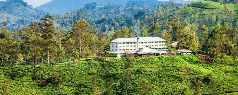 Hikkaduwa/Galle/Weligama/Mirissa: Day Trip to Ella Highlands - FAQ