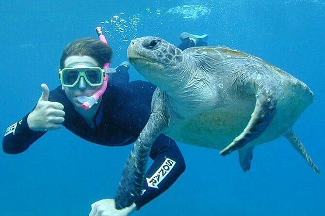 Hikkaduwa Unforgettable Snorkeling Experience - An Introduction to the Hikkaduwa Snorkeling Tour