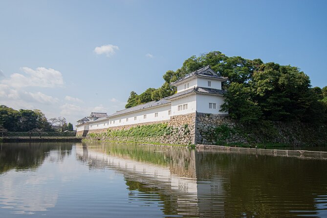 Hikone Bike Half-Day Tour Through a Castle Town Near Kyoto, Osaka - Accessibility and Fitness Requirements
