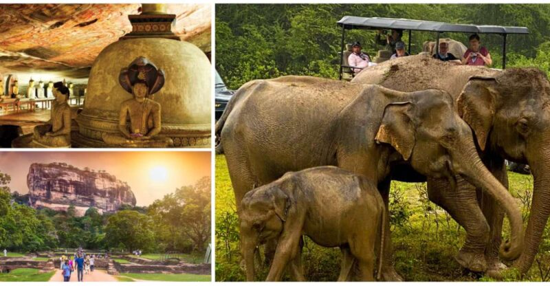 Hill Country Wonders & Cultural Hotspots in Sri Lanka - Itinerary Highlights