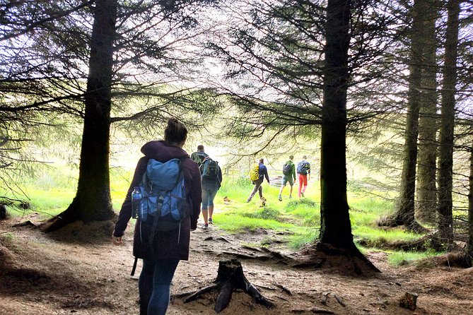 Hill & Nature Hike - Discover Real Edinburgh With a Local Expert - Exploring Natural Heritage