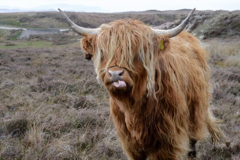 Hill & Nature Hike - Discover Real Edinburgh With a Local - Scenic Highlights