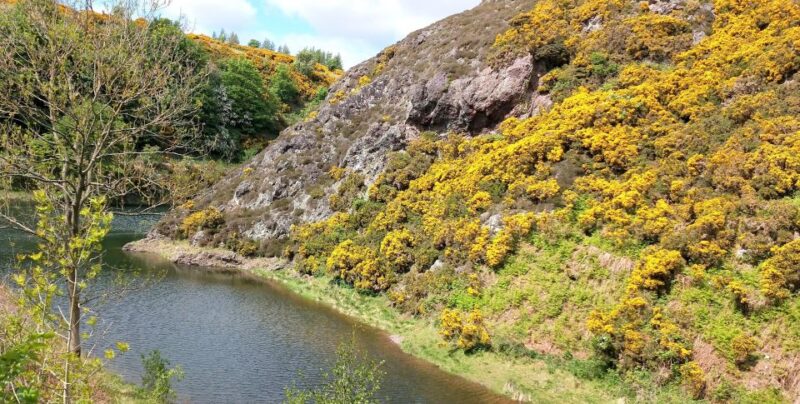 Hill & Nature Hike - Discover Real Edinburgh With a Local - Learning Opportunities
