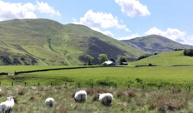 Hill & Nature Hike - Discover Real Edinburgh With a Local - Meeting Details