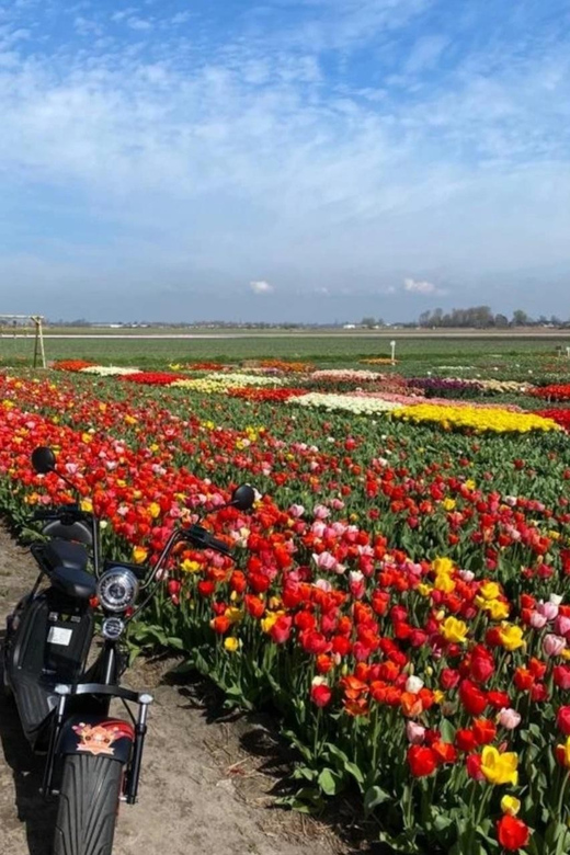 Hillegom: E-Scooter or E-Bike Rental in the Bulb Region - Key Points