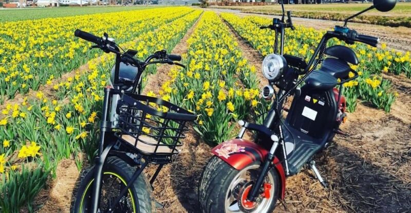 Hillegom: E-Scooter or E-Bike Rental in the Bulb Region - Rental Details